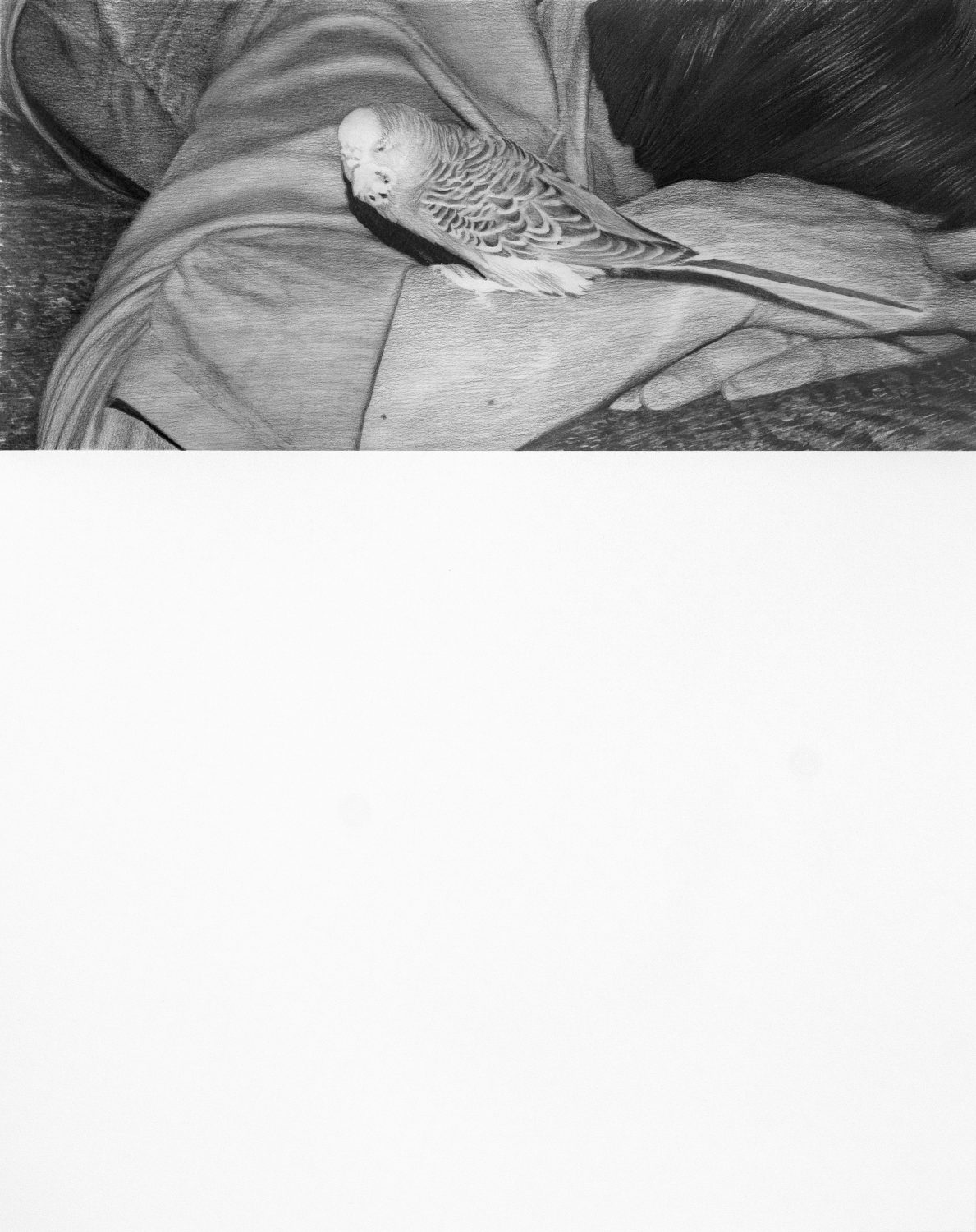 Fragments of a Scene 001, 2017 pencil on paper 59 x 47 cm 23 1/4 x 18 1/2 in