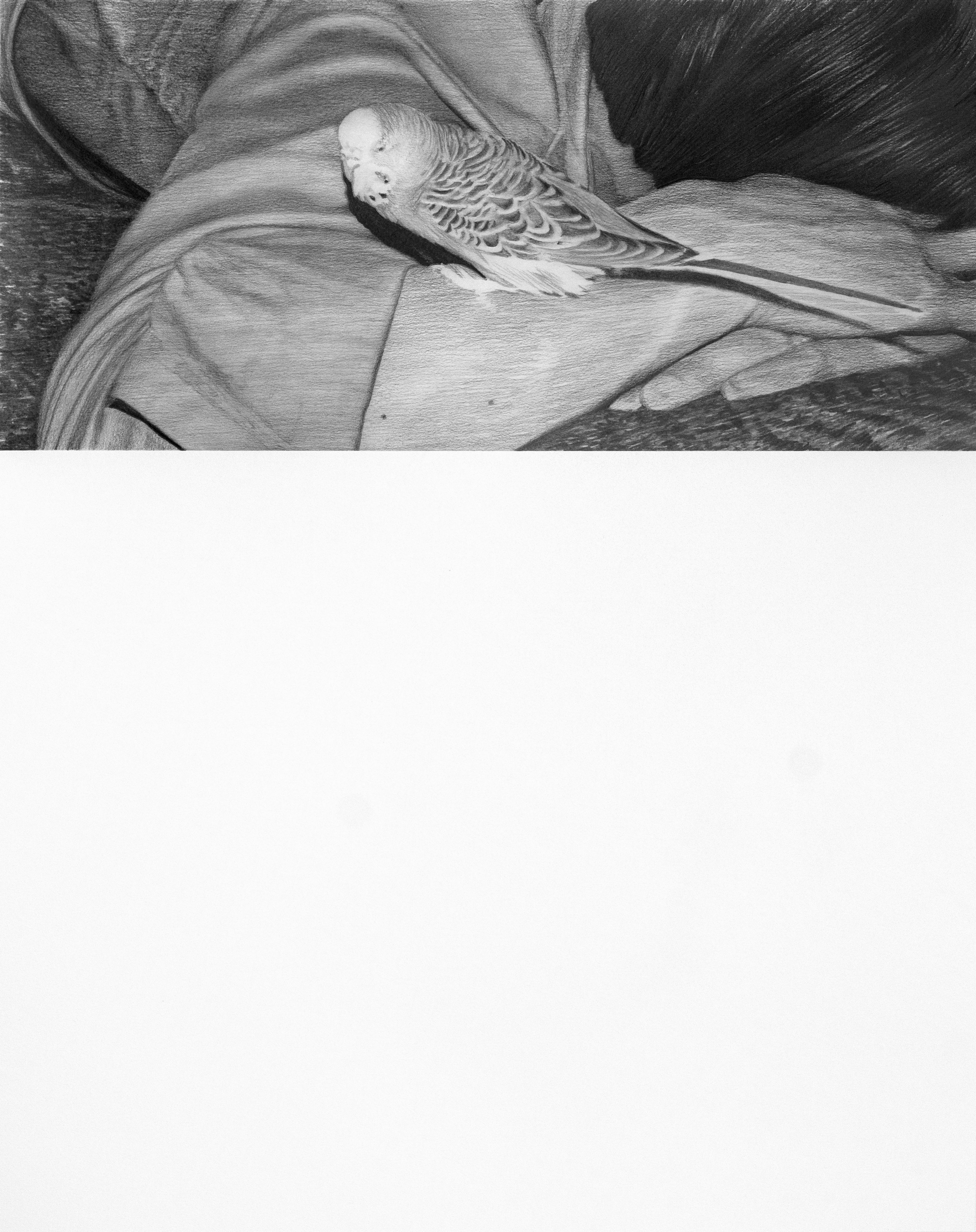 Fragments of a Scene 001, 2017 pencil on paper 59 x 47 cm 23 1/4 x 18 1/2 in